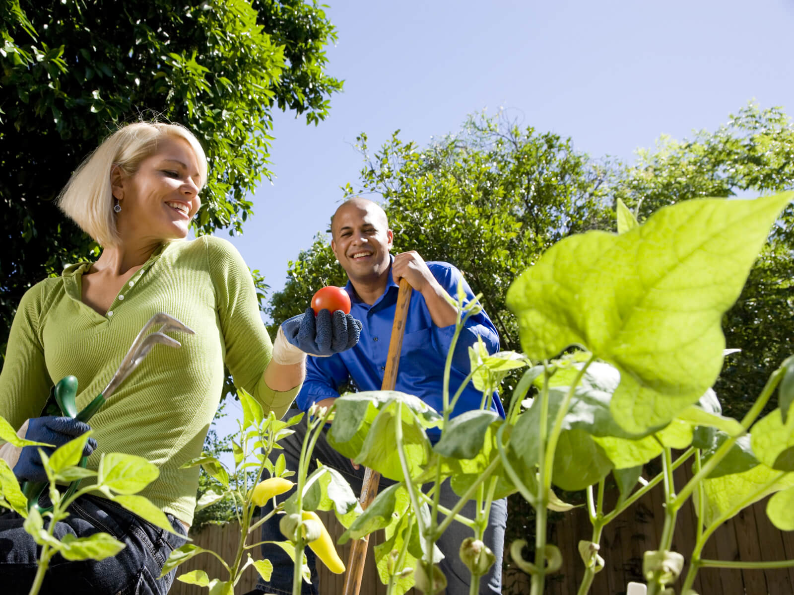 Spring Cleaning and Gardening Reflex Spinal Health Your Reading